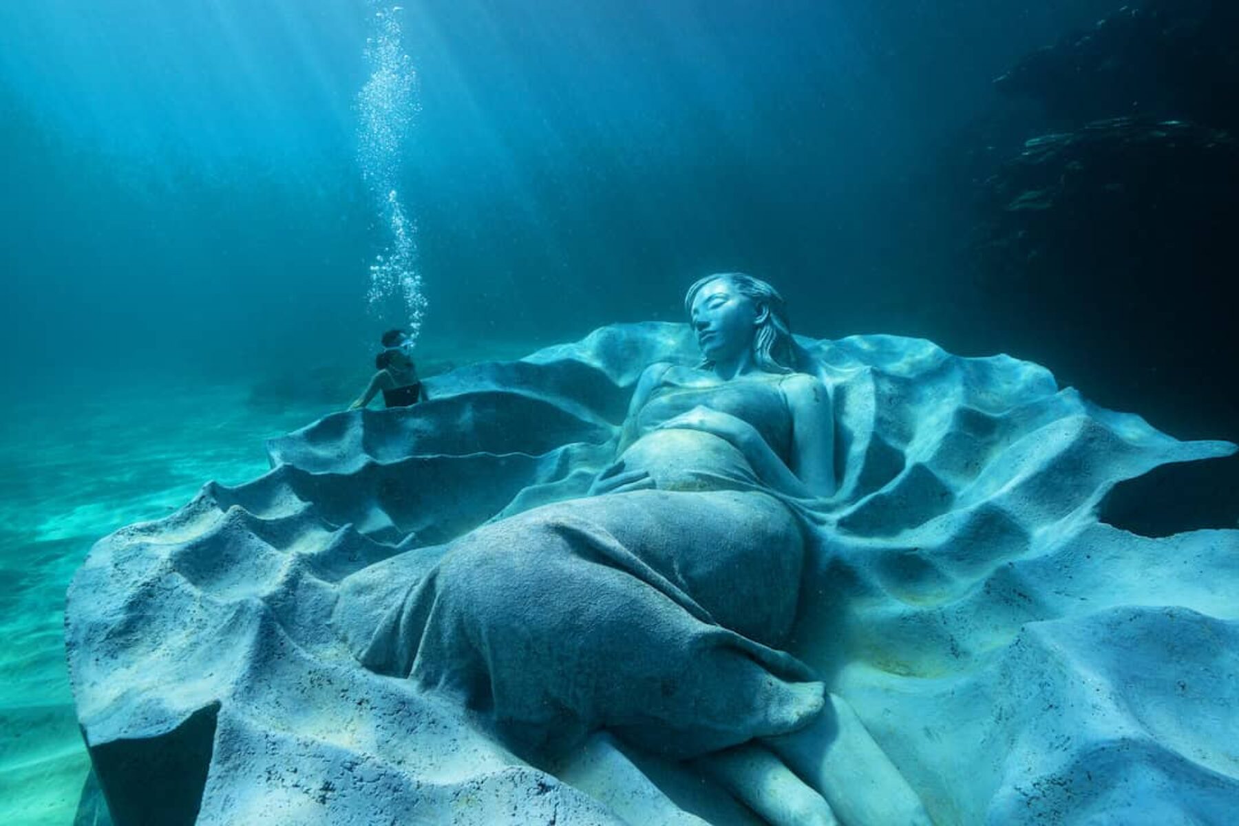 Image for In sight: Gaia beneath the waves