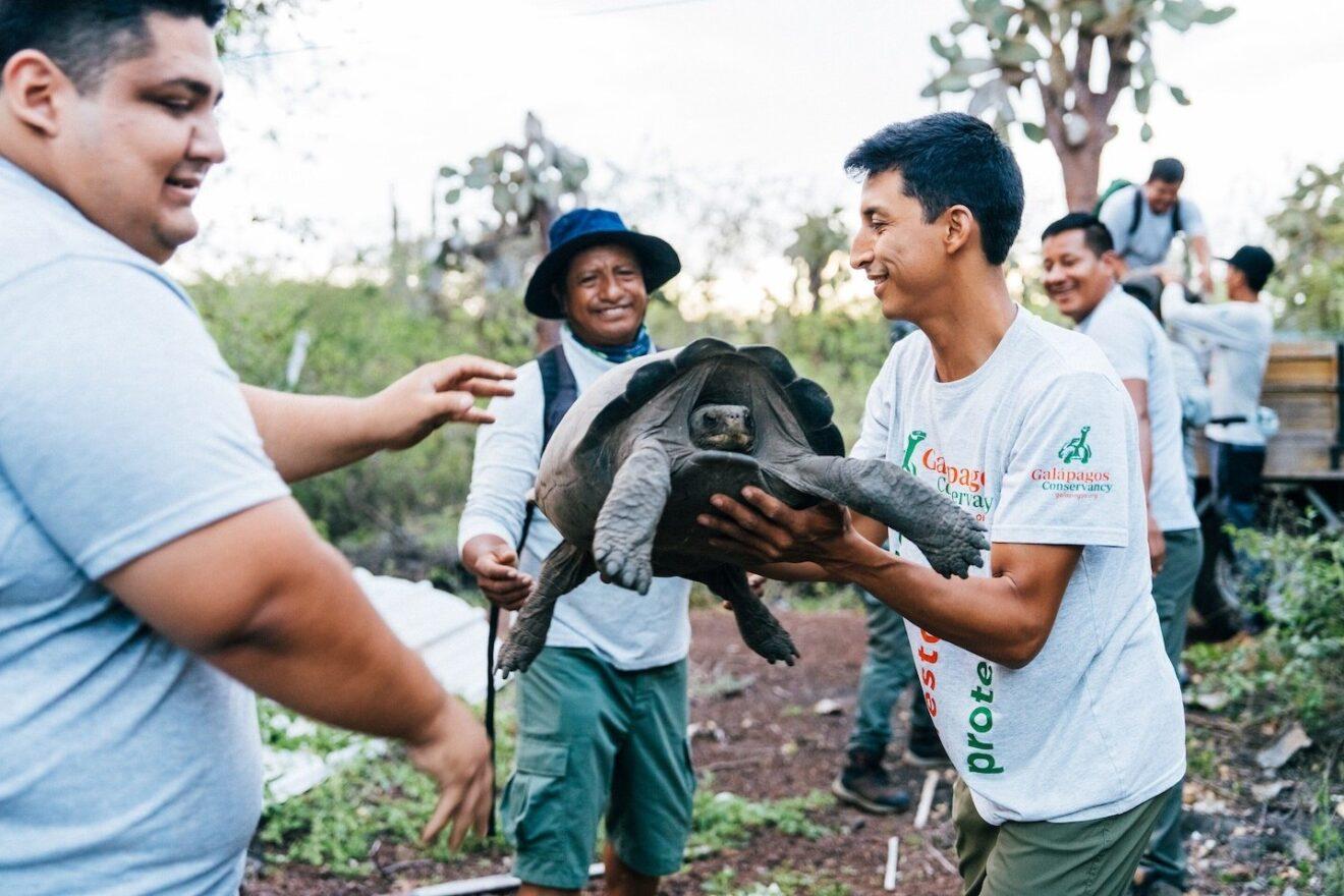 Image for What went right this week: the good news that matters