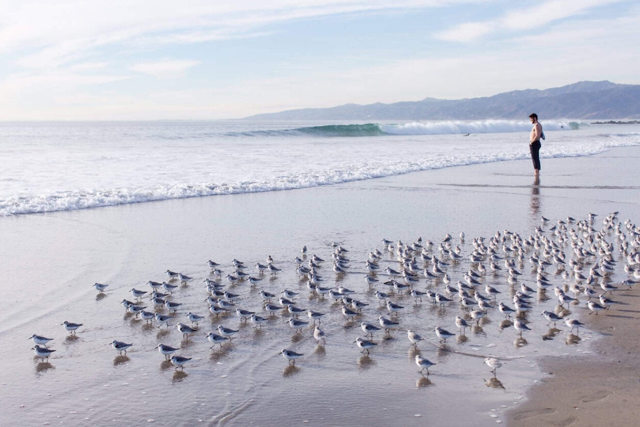 Image for What went right this week: the good news that matters