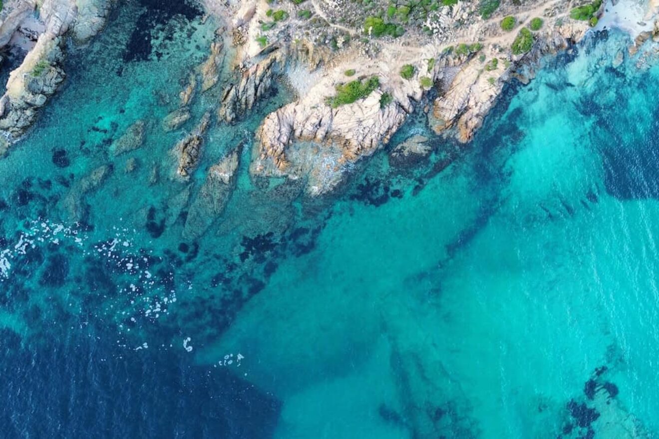 Image for Greenland sheds new light on underwater carbon sink