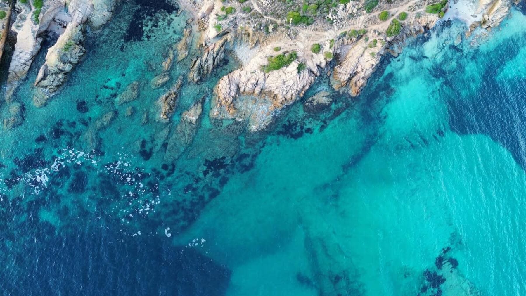 Image for Greenland sheds new light on underwater carbon sink
