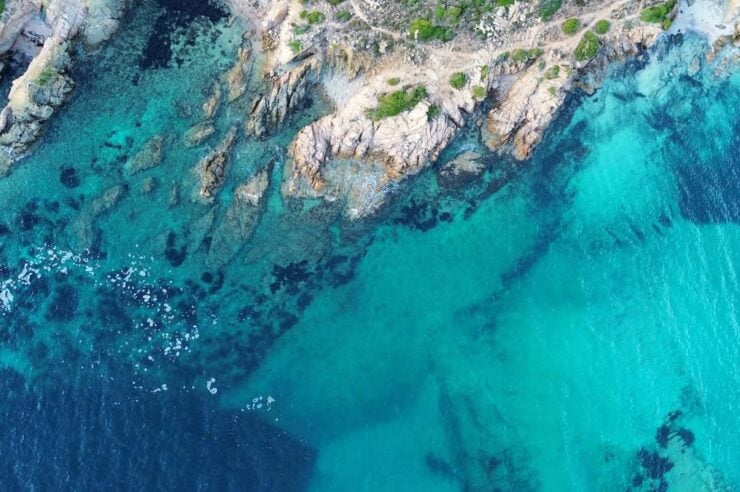 Image for Greenland sheds new light on underwater carbon sink