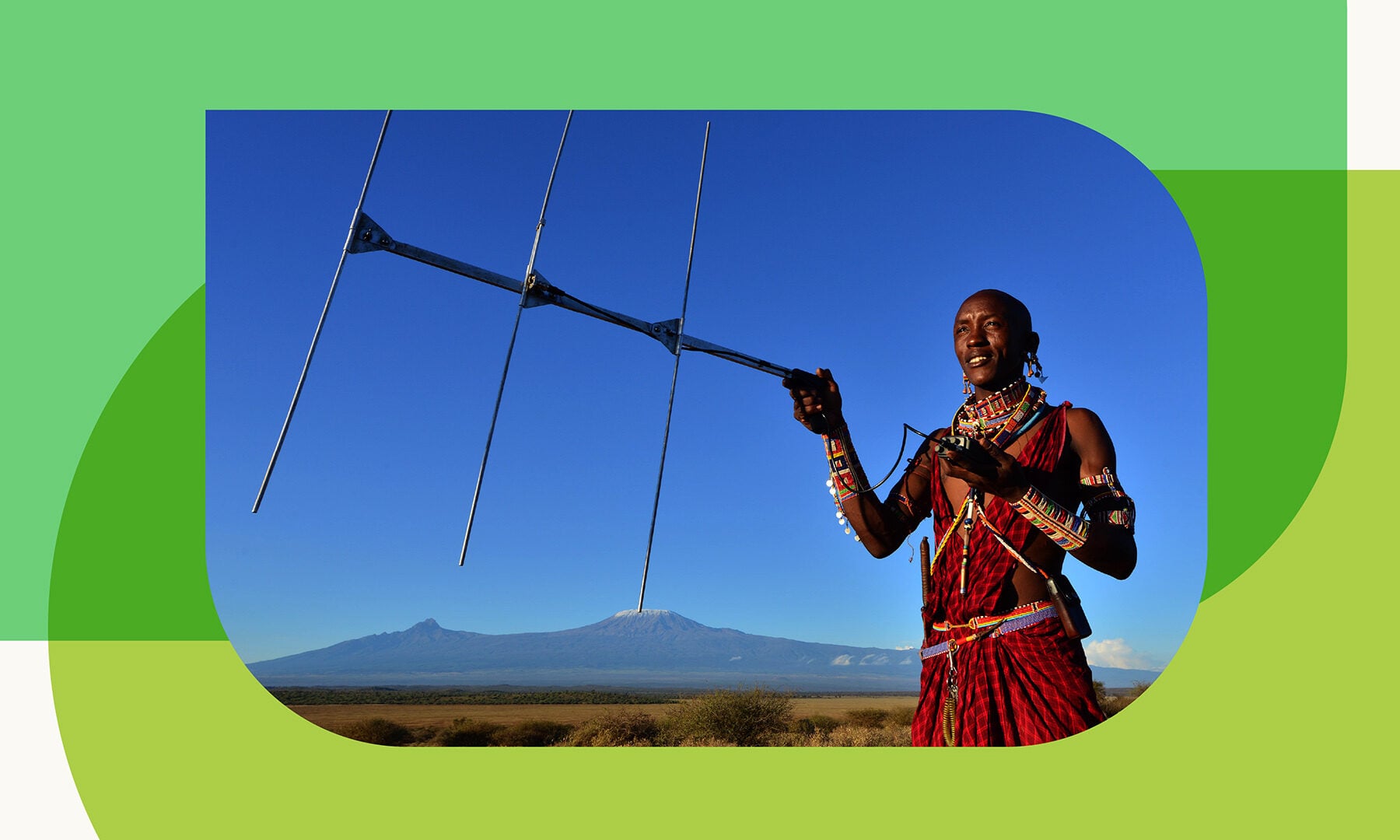 Image for A new measure of courage: how Maasai warriors became lion guardians