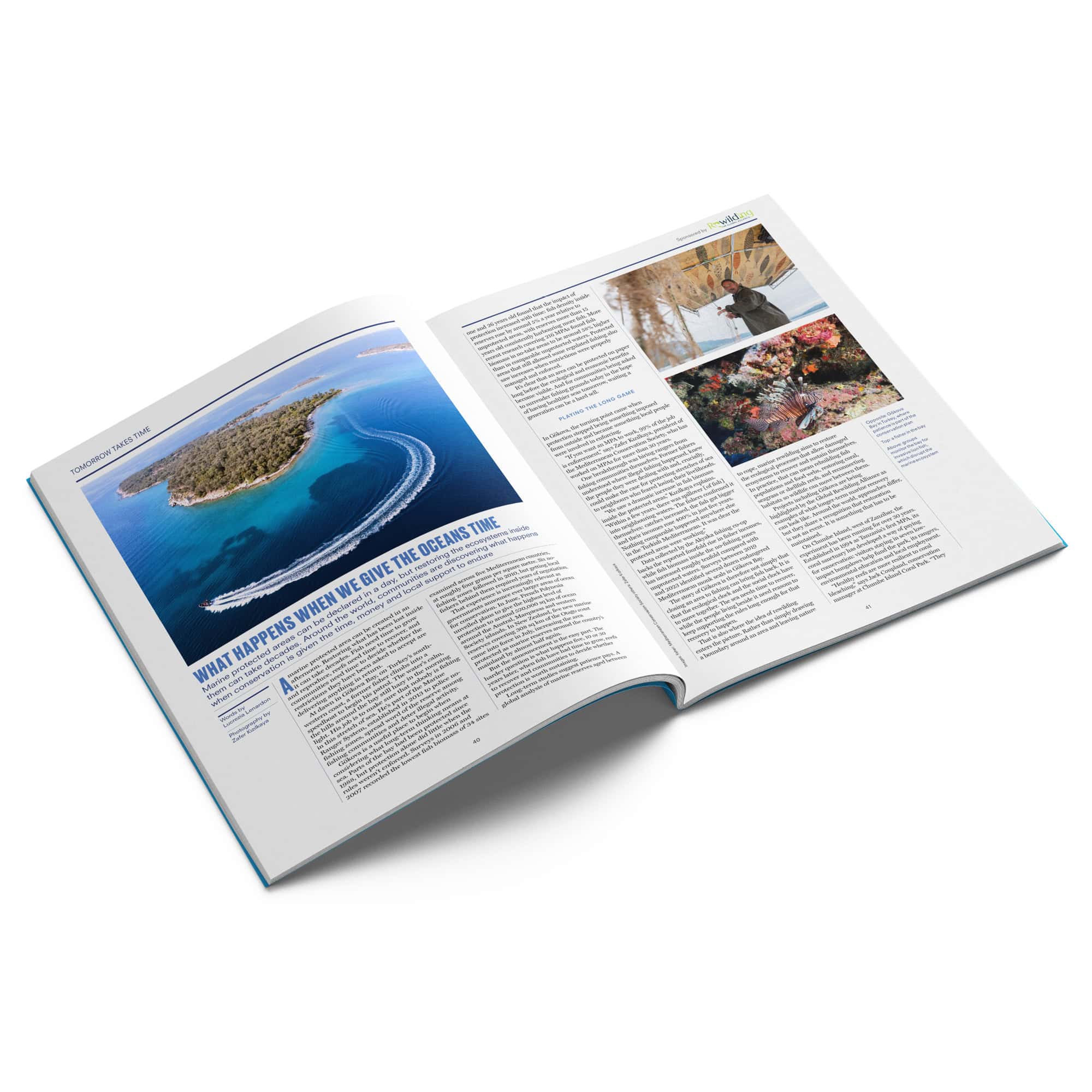 Positive News #127, Oct-Dec 2026 - Image 2