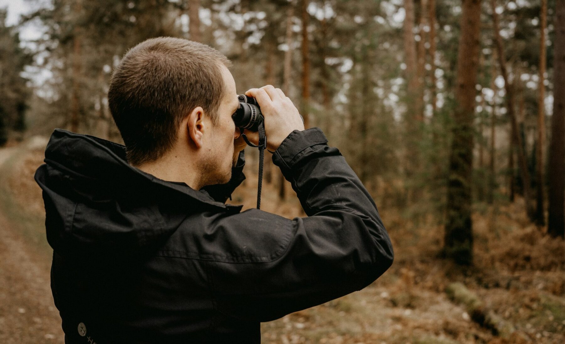 Image for How birdwatching has become an unexpected hit with Gen Z
