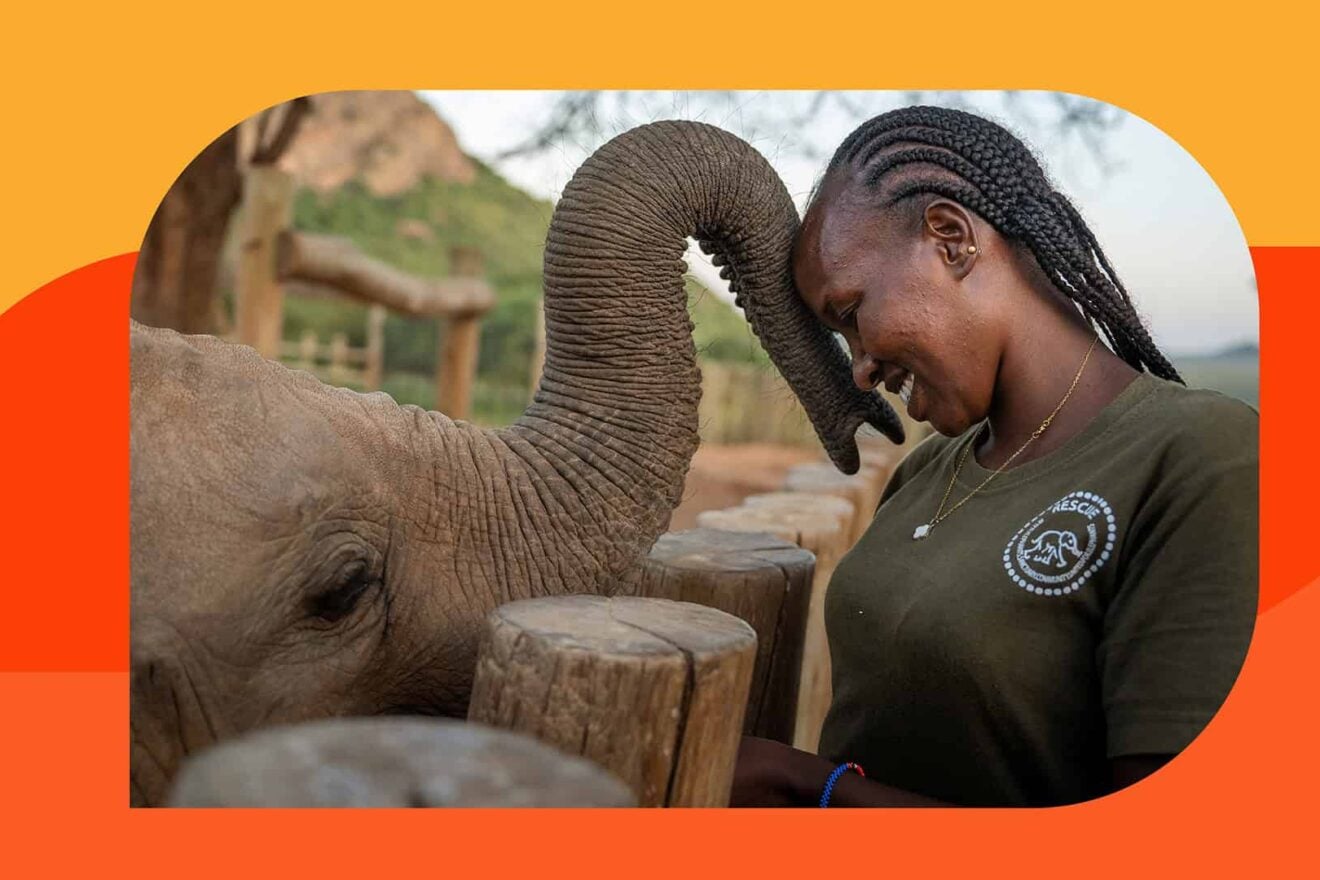 Image for The women putting community at the heart of elephant conservation