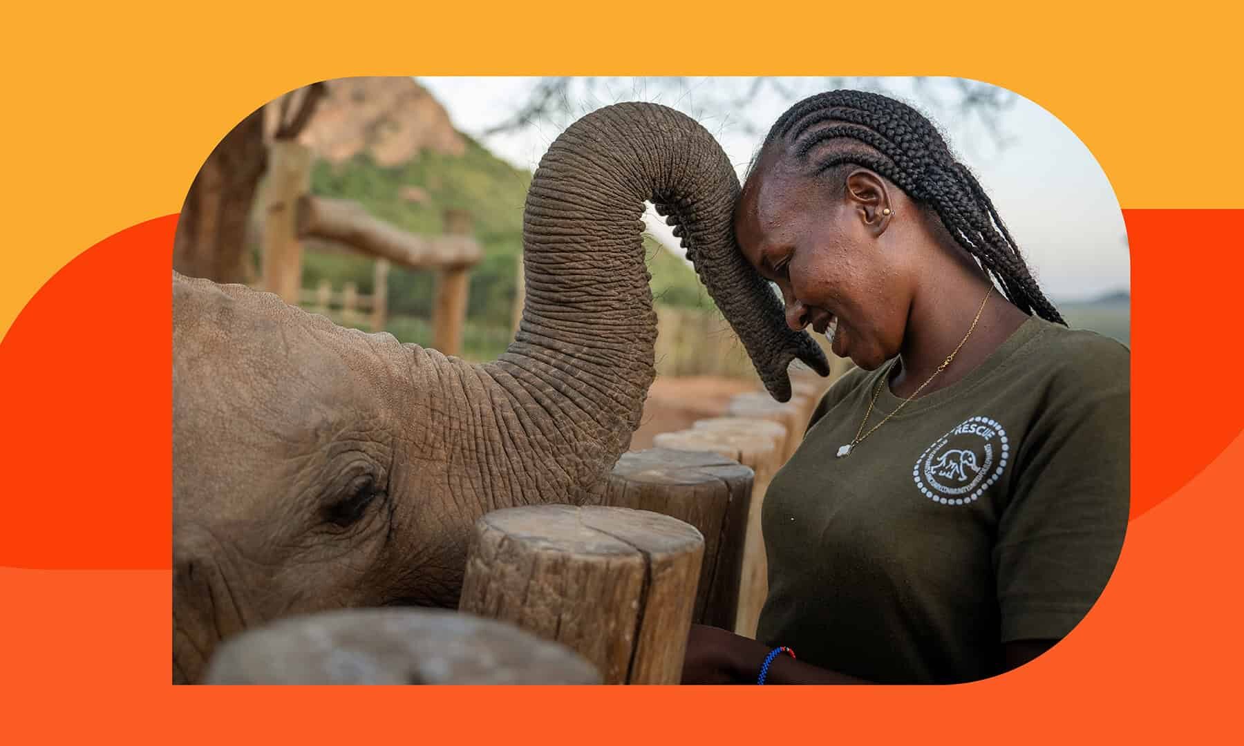 Image for The women putting community at the heart of elephant conservation