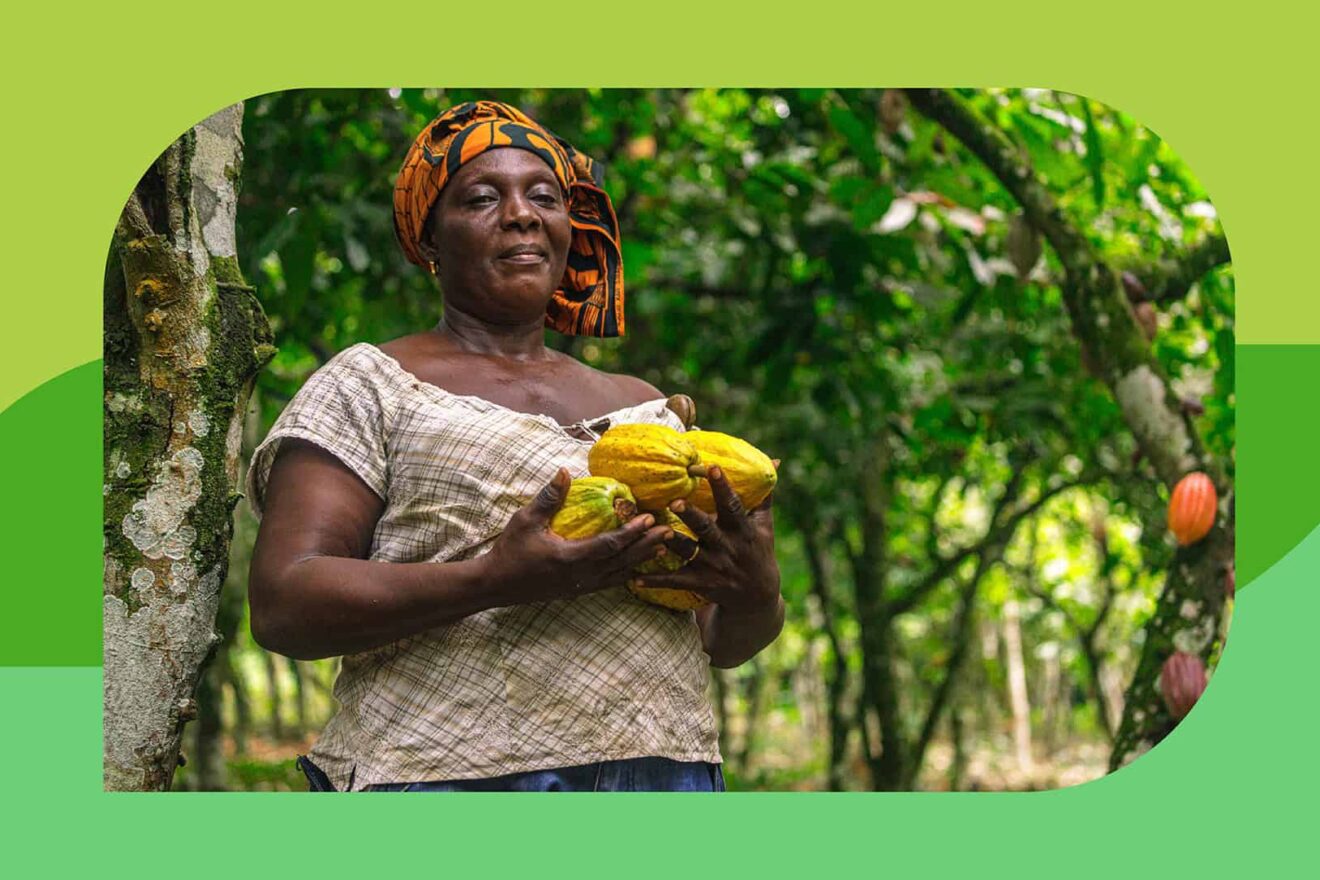Image for The farmer growing a future under Ghana’s trees