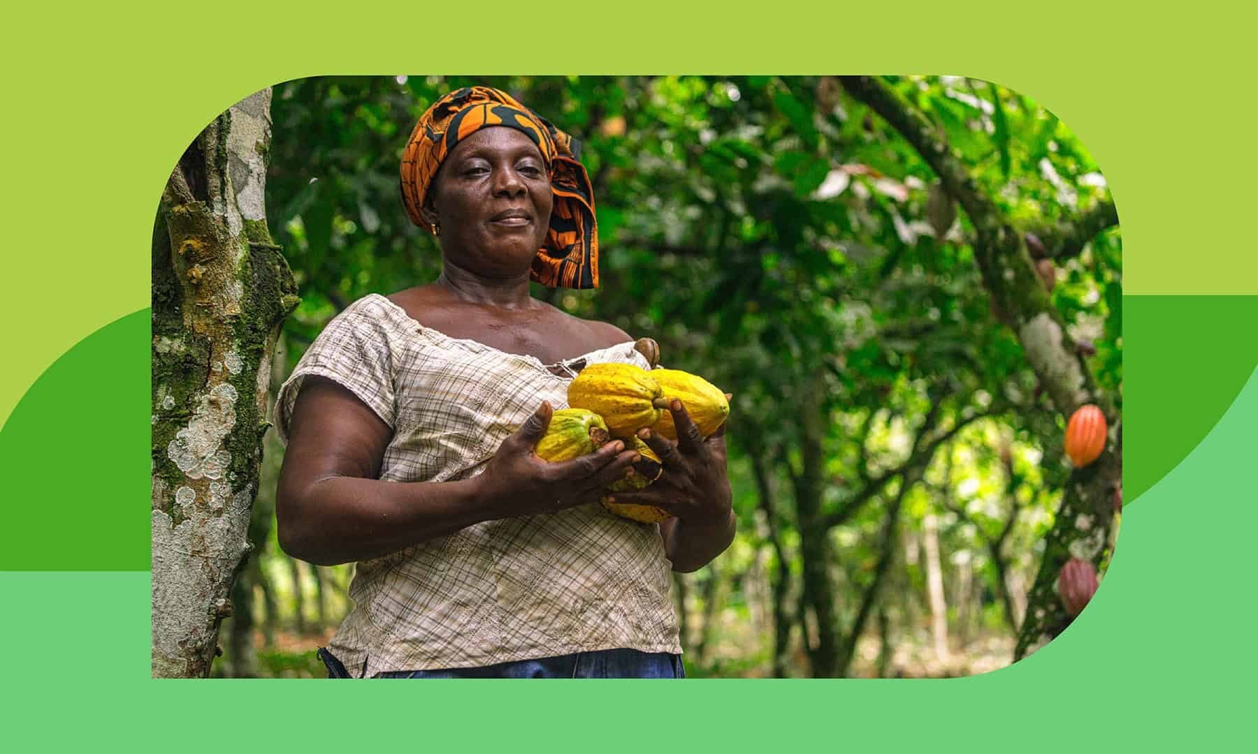Image for The farmer growing a future under Ghana’s trees