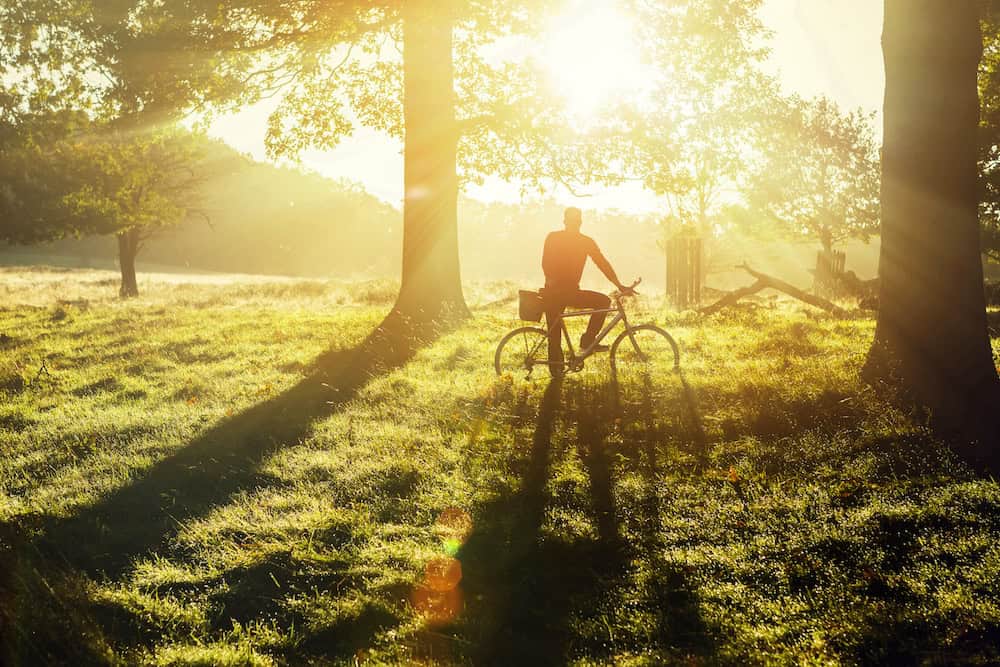 Putting a ring on it: the plan to green London’s beloved edges